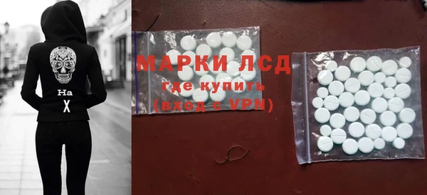 сатива Ростов