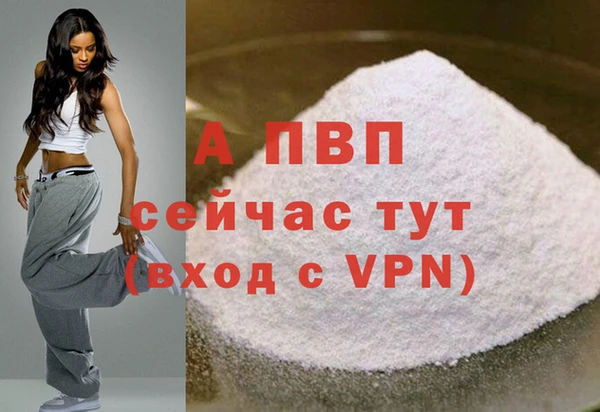 сатива Ростов