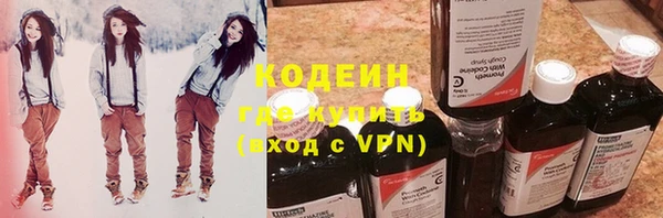 сатива Ростов