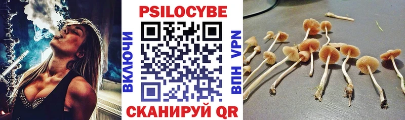 Псилоцибиновые грибы Cubensis  Калач 